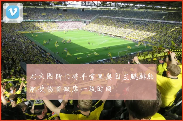 尤文图斯门将平索里奥因左腿腓肠肌受伤将缺席一段时间