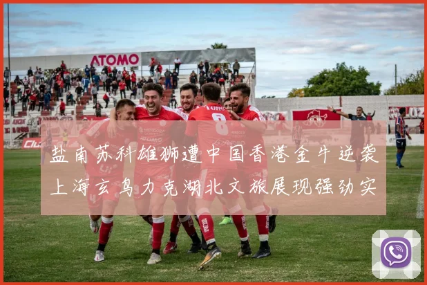 盐南苏科雄狮遭中国香港金牛逆袭上海玄鸟力克湖北文旅展现强劲实力