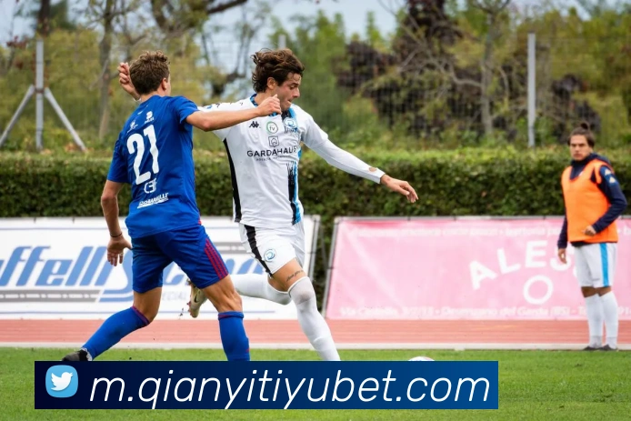 千亿体育平台生态图